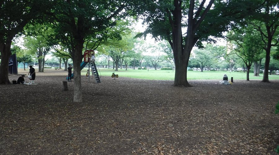 🌳 신코이와 공원 (신코이와 코엔)